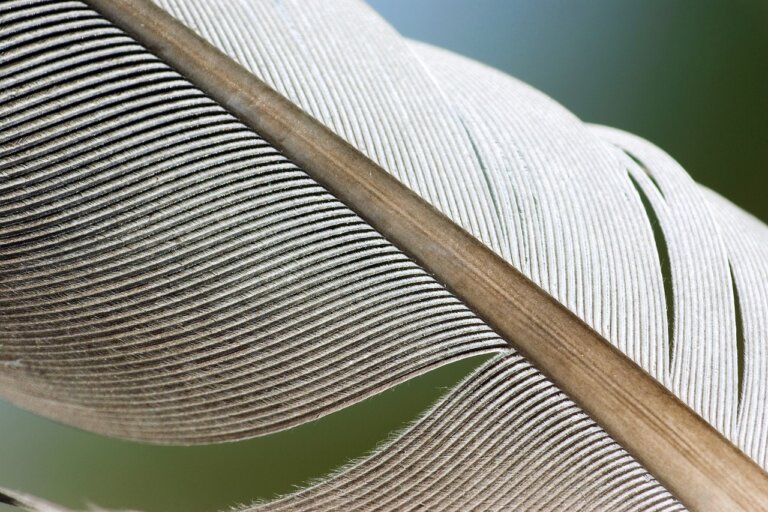 Microsoft is optimizing Windows 10 update delivery just as it did with Windows 11