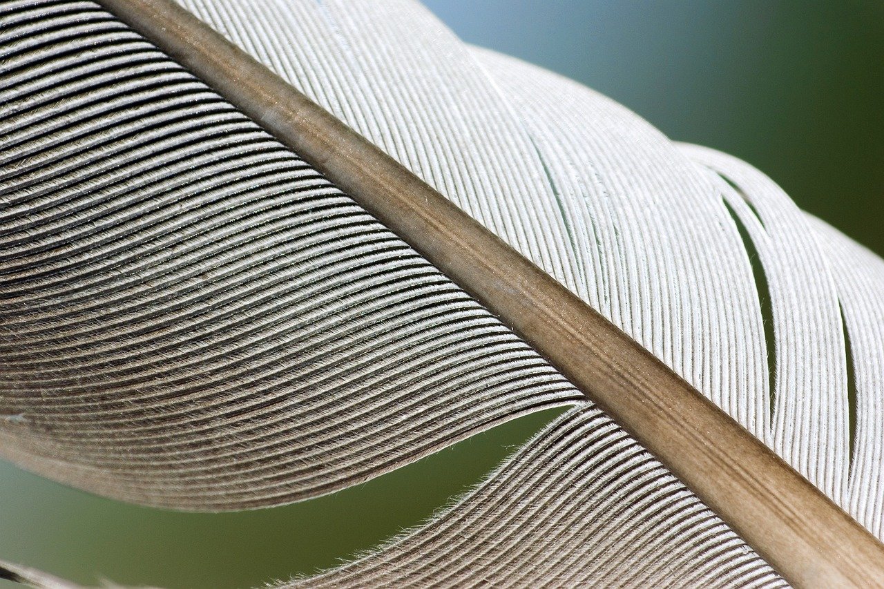 Microsoft is optimizing Windows 10 update delivery just as it did with Windows 11