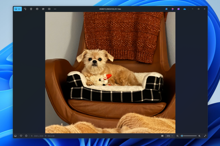 Microsoft Photos for Windows 11 will finally give you the zoom controls it always should have had