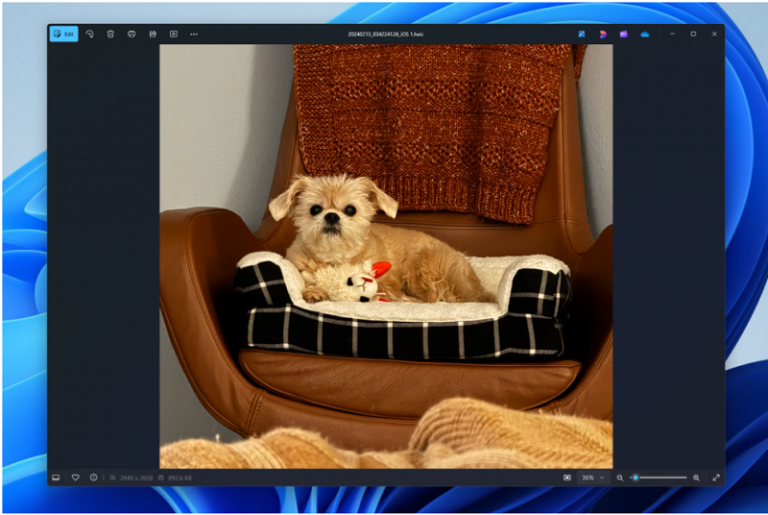 Windows 11 preview shakes up Photos app