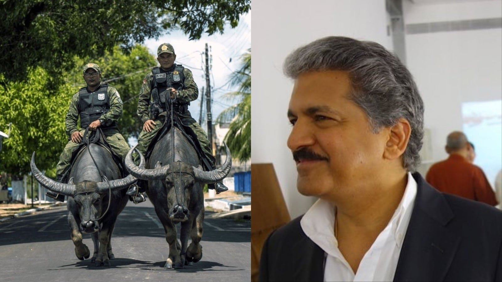 Anand Mahindra’s ‘bullish’ take on Microsoft’s global outage. Internet cries ‘yamdut’