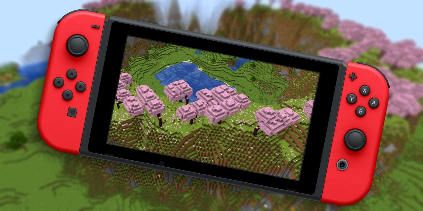 13 Best Nintendo Switch Seeds For Minecraft - Surge Radio
