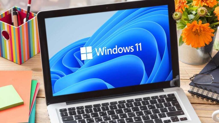 Tiny 11 can shrink Windows 11 24H2 disk space requirement by over 80%