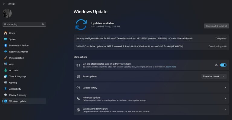 Windows 11 KB5044284 issues, update fails. KB5044285 also have issues for some users