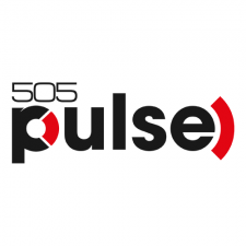 Digital Bros rebrands Hook label as 505 Pulse