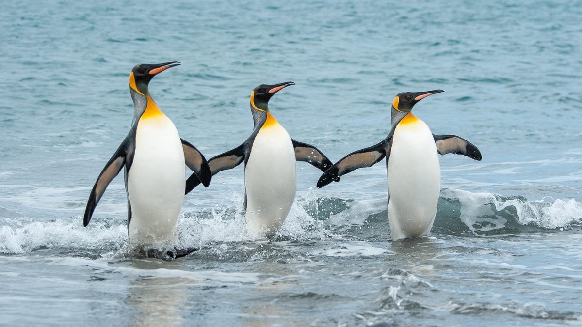 The 3 most Windows-like Linux distros you can try because change is hard