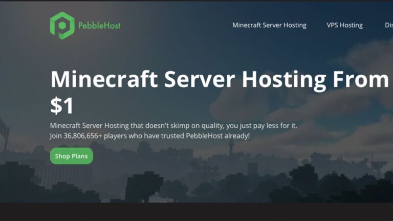 PebbleHost review