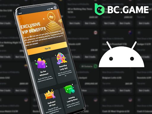 Top Features of BC Game Mobile App for Android