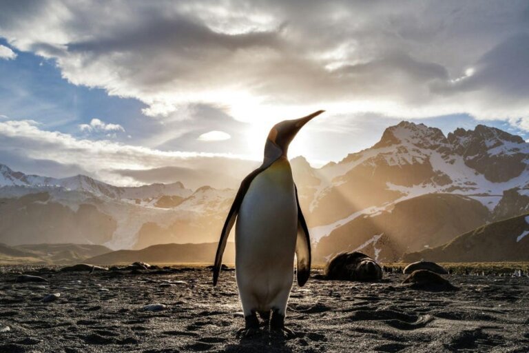 4 Big Reasons To Quit Windows And Try Linux In 2025