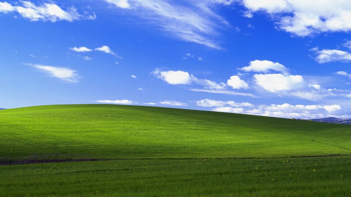 From pixels to pinot: The Windows XP 'Bliss' wallpaper hill was real and this is what it looks like now