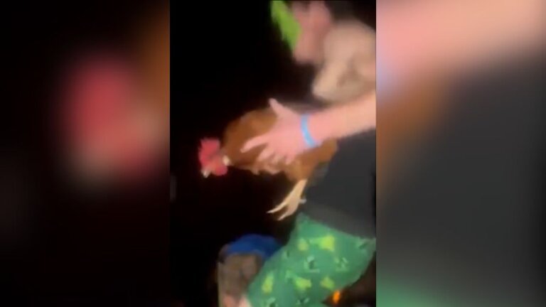 'Chicken jockey' trend gets students kicked out of theater