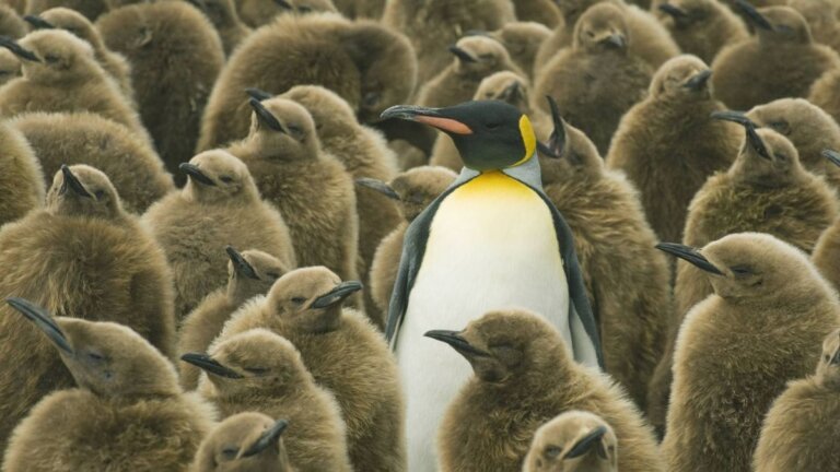 As support for Windows 10 counts down, End of 10 asks 'why not Linux?'