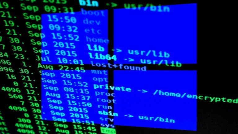 Microsoft makes the Windows Subsystem for Linux open source after almost a decade of development