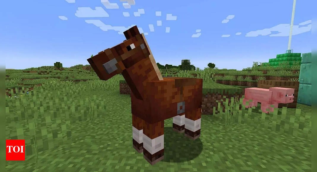 Minecraft snapshot 25w20a explained: New features and updates - The Times of India