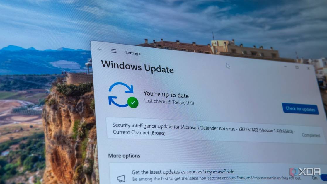 I don't trust Windows Update anymore, and you shouldn't either
