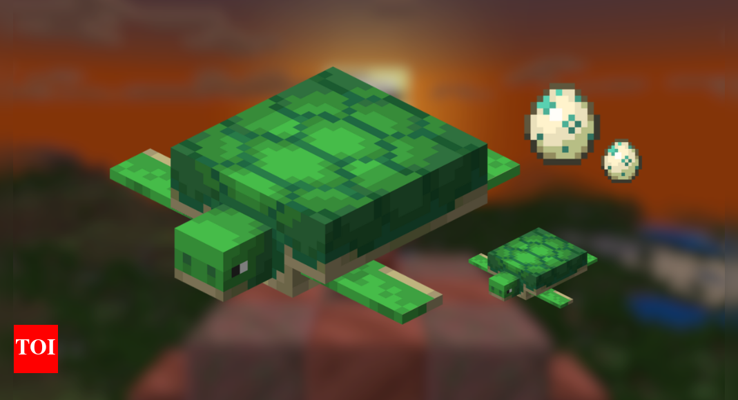 How to find and breed Turtles in Minecraft | Esports News