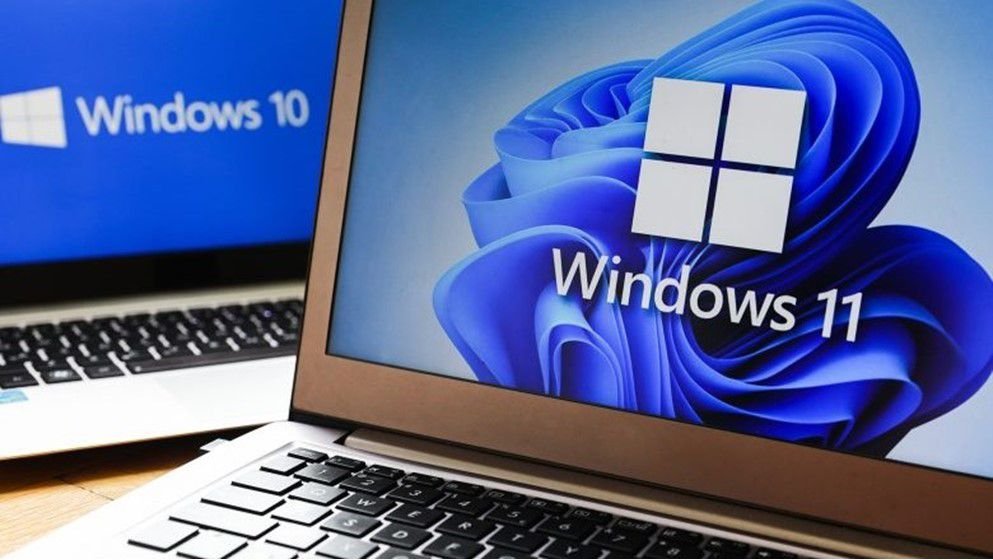 Windows 11 Surpasses Windows 10 in Market Share - Jordan News | Latest News from Jordan, MENA