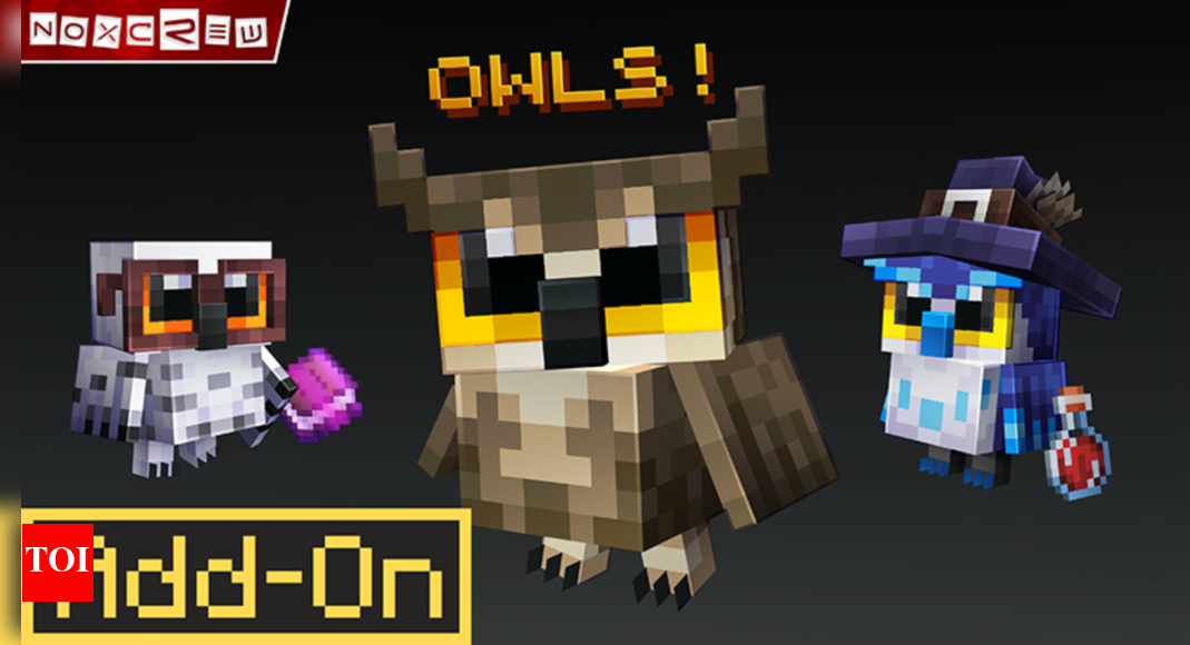 How to get and play the new Owl add-on in Minecraft | Esports News - The Times of India