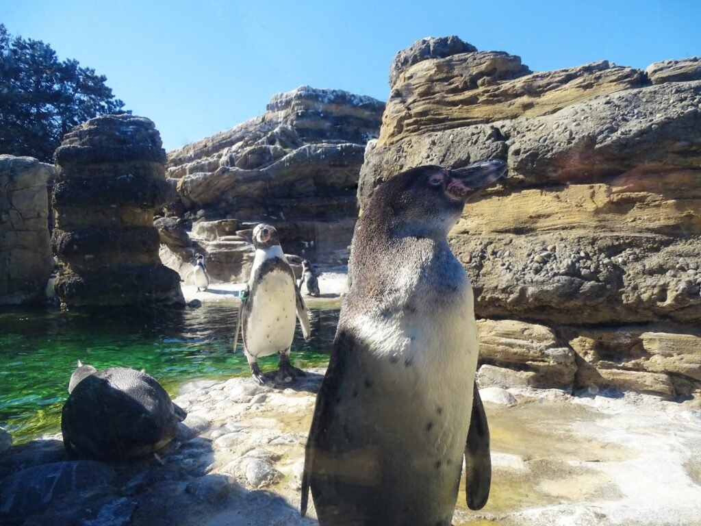 Spiceworks Community Digest: Better living through Linux