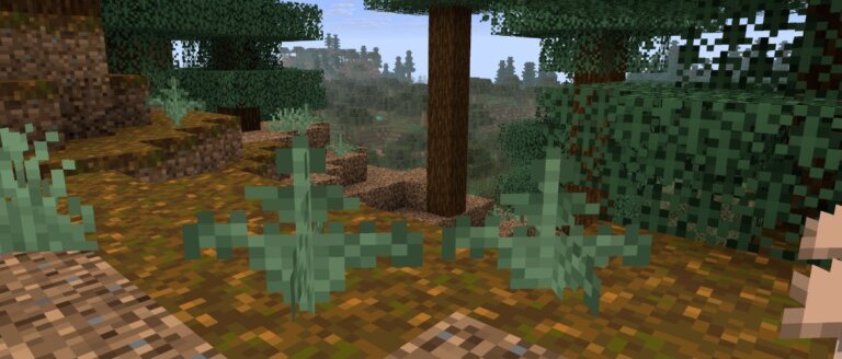 Taking Inventory: Fern