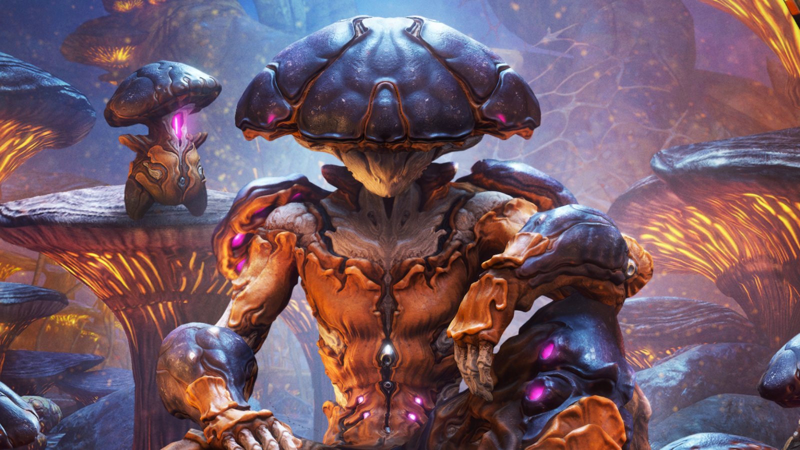 Warframe's new update is exactly what I wanted, with an adorable mushroom frame and much-needed mod quest