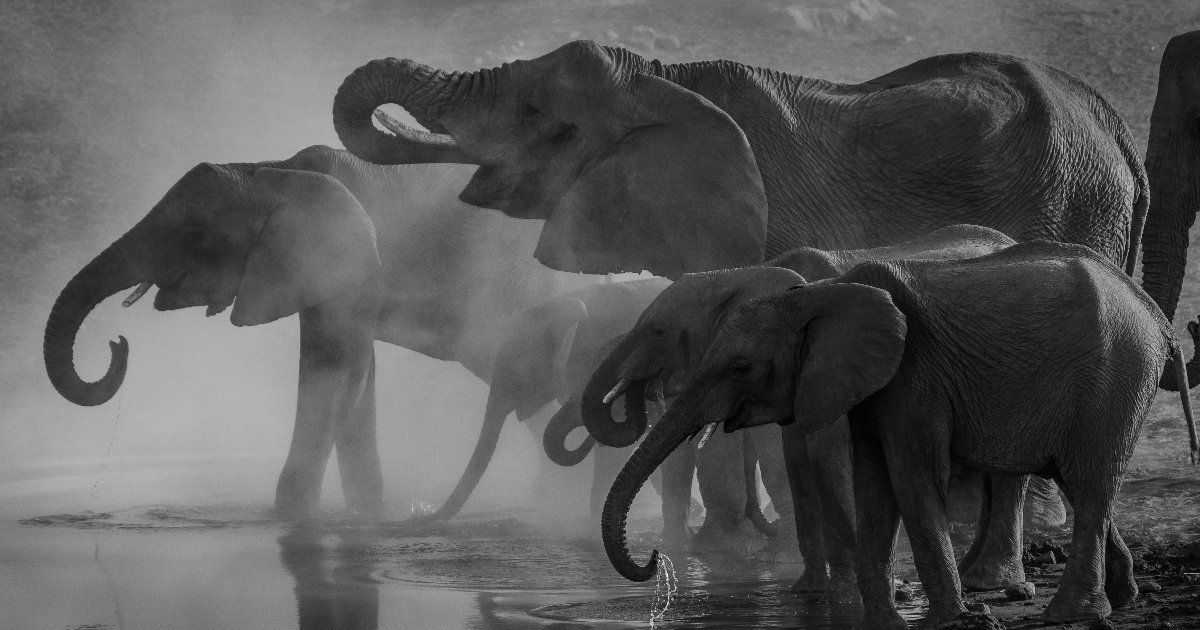 PlanetScale Extends Database Platform to PostgreSQL