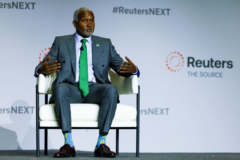 Trade with Africa not a game of Minecraft, says Nigerian minister