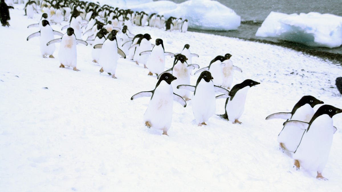 Why people keep flocking to Linux in 2025 (and it's not just to escape Windows)