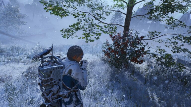 How to get Candleberries in Arc Raiders