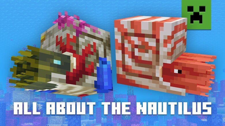 Mojang offers a detailed look at Minecraft's nautilus