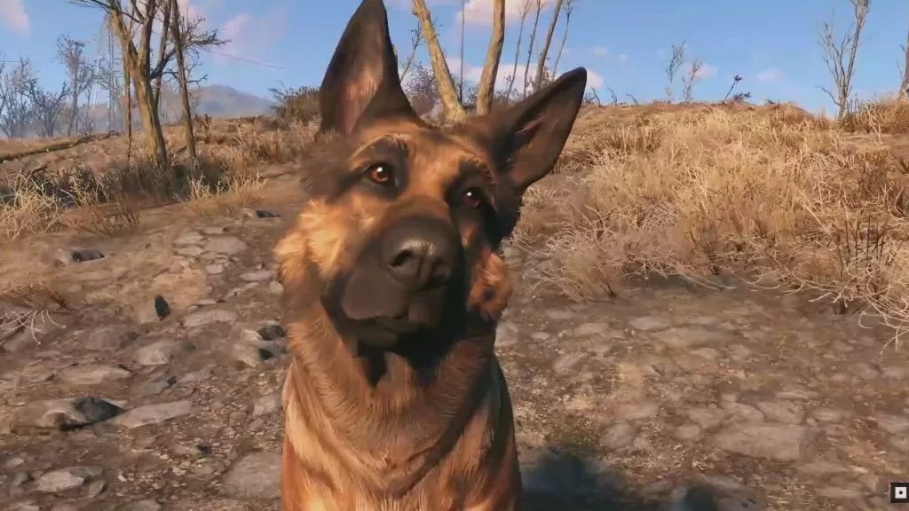 I thought I was crazy for thinking Fallout 4 feels like a perfectly crisp fall day, but that's exactly what Bethesda was aiming for after a 'field trip' to a national park: 'I was like, this is what our world needs to look like'