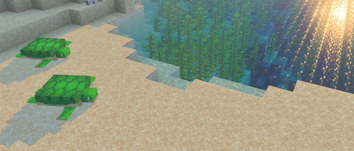 Another step towards Vibrant Visuals