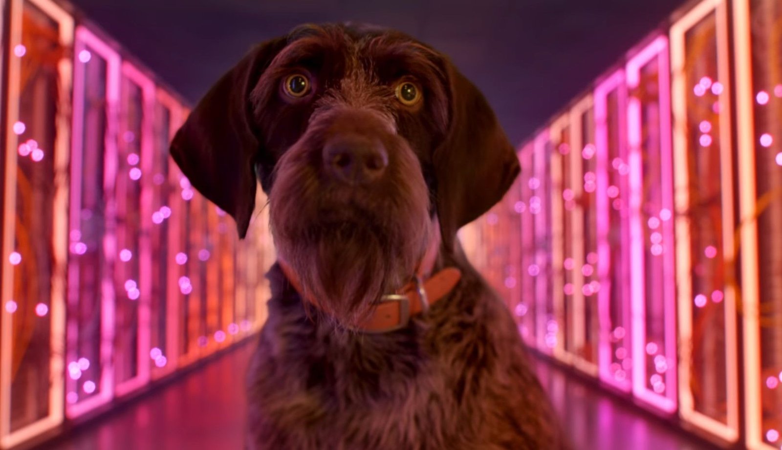 Google executive responsible for AI has a solution for the game industry's problems, and you're not going to believe this but it's AI