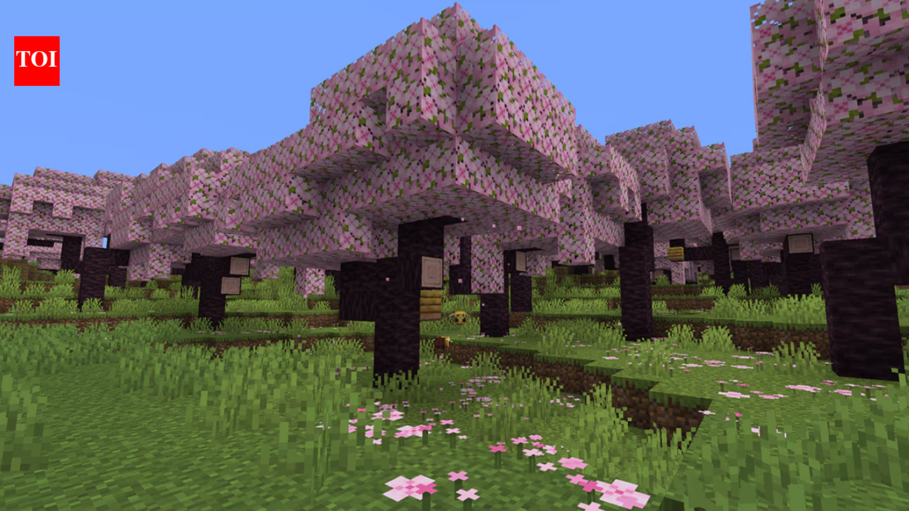 5 best Minecraft seeds for beginners