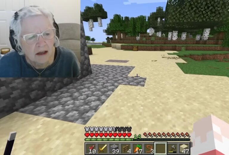 Arizona gamer grandmother swatted during cancer fundraiser livestream