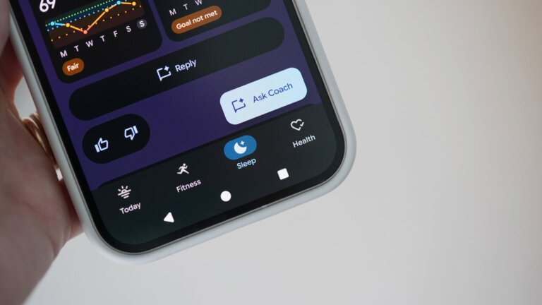 Fitbit's Public Preview app is missing data for some users