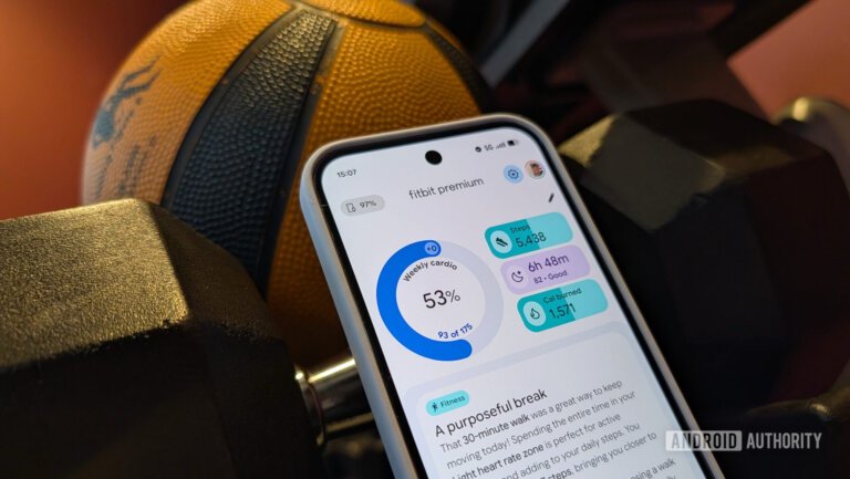 Google is hitting pause on the Fitbit app's social features