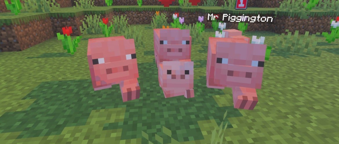 LET’S PLAY: FANTASTIC PETS