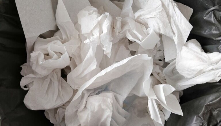 Microsoft's latest Windows bug belongs in the Recycle Bin