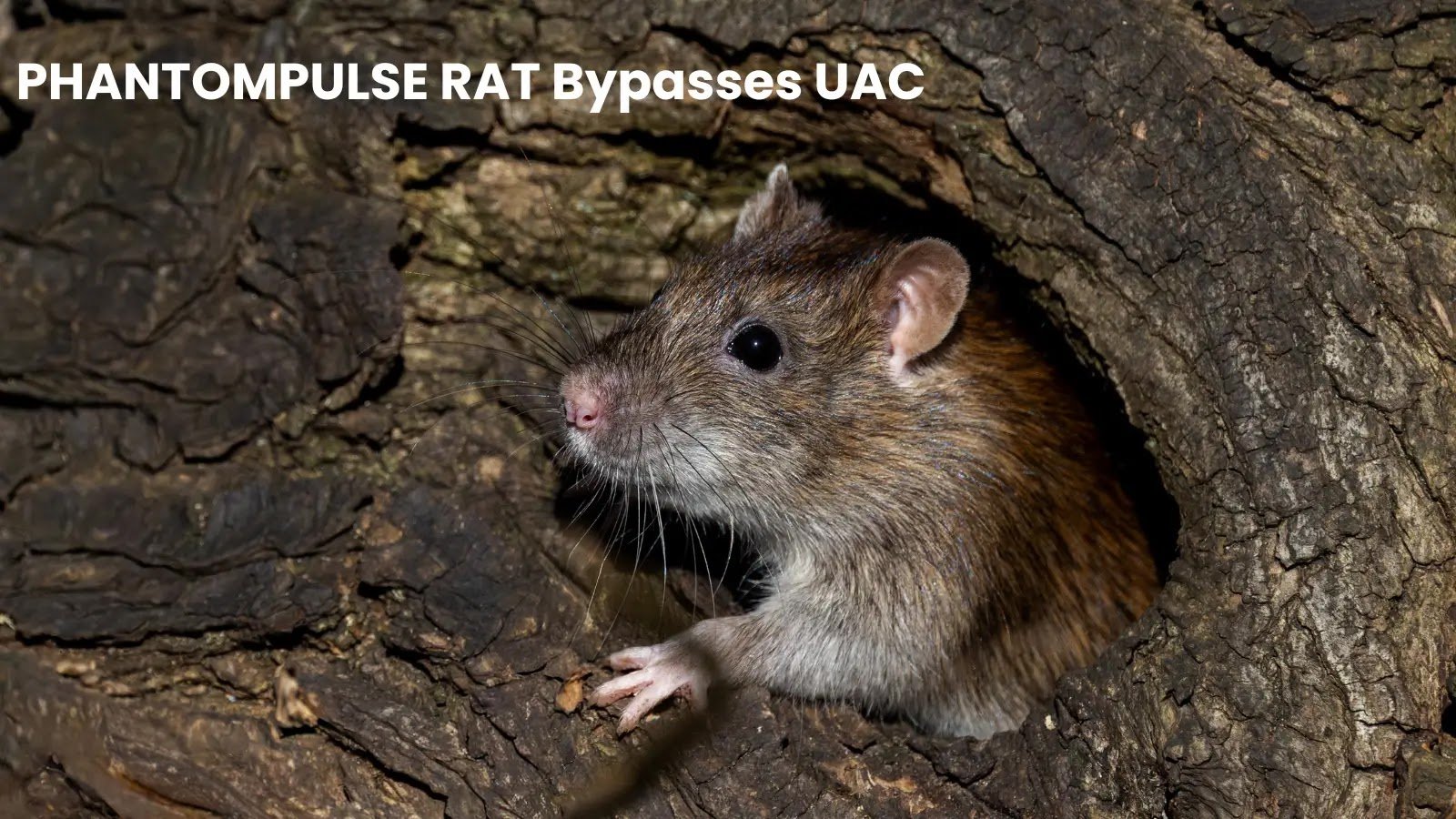 New PHANTOMPULSE RAT Campaign Uses UAC Bypass in Windows Attacks