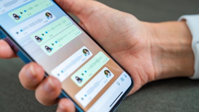 Chat Control 1.0: EU Council forces messenger scans via fast-track