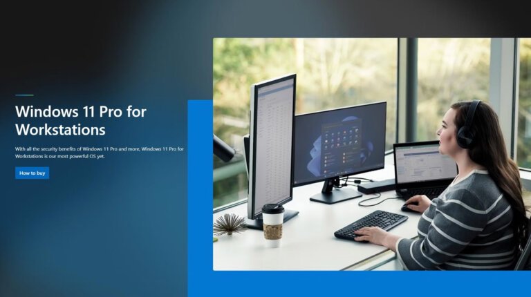 The Curious Case of Windows 11 Pro for Workstations, Essentially Windows 11 "Pro Max"