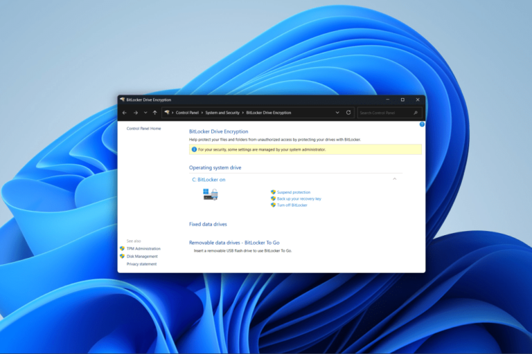 Windows BitLocker is fine. I still don't trust it with everything
