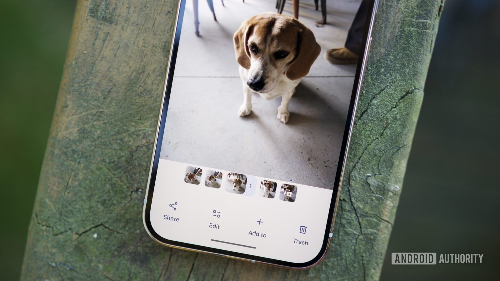 Google confirms it's working on a fix for that Photos bug preventing sharing, deleting, and editing