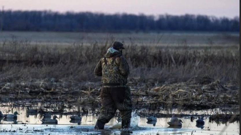 Kentucky Fish and Wildlife opens fall quota hunt applications - The Advocate-Messenger