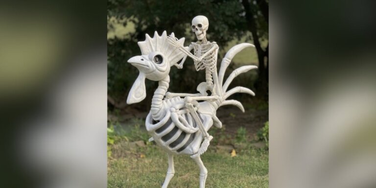 ‘Not a Minecraft quest’: Henderson Police searching for chicken-jockey sculpture stolen from yard