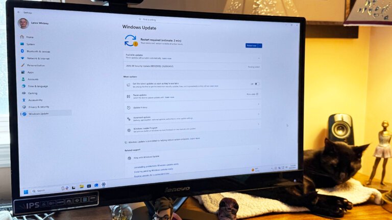 Windows 11 out-of-band update fixes audio glitch and other bugs - grab it now