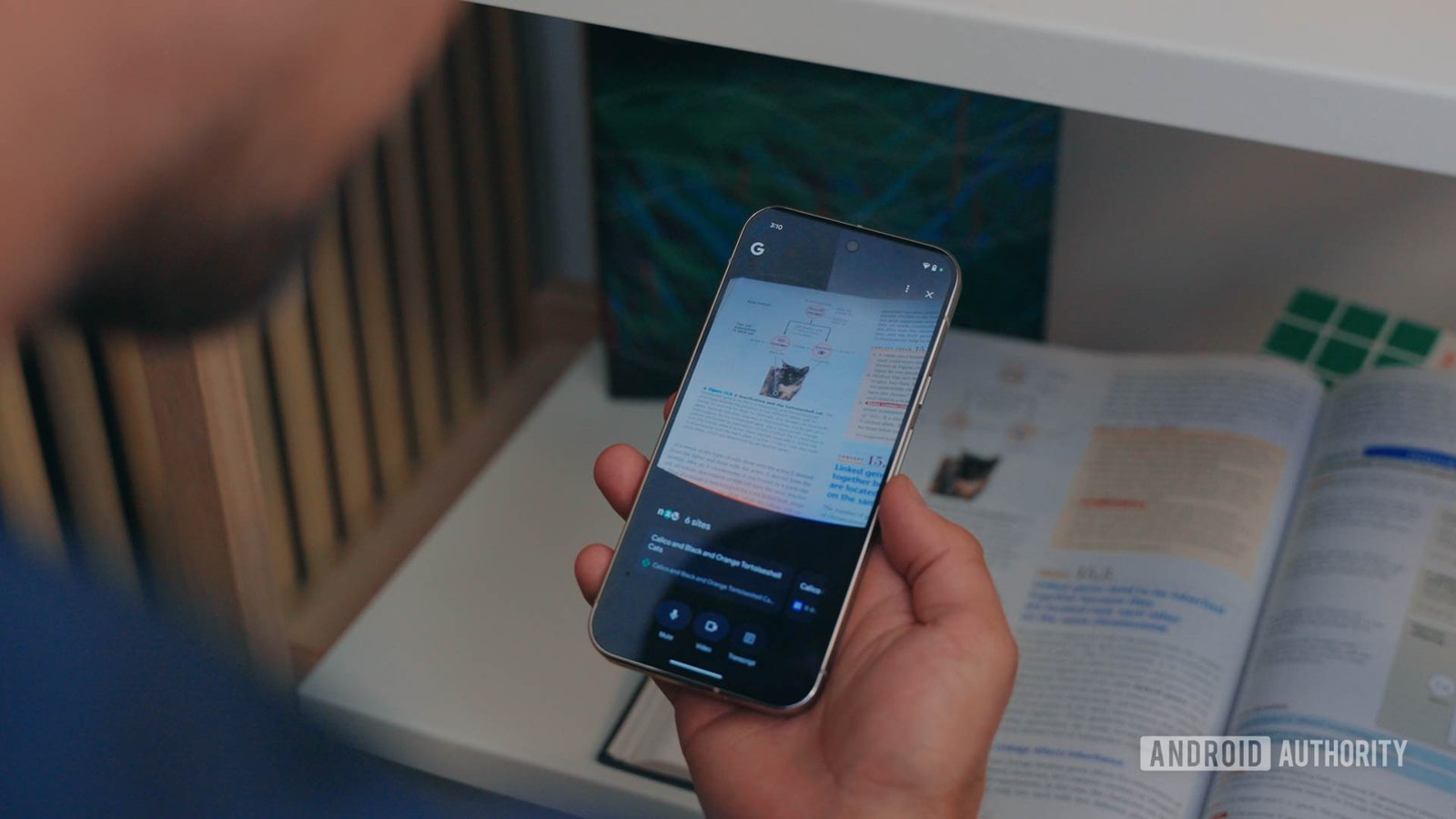 Google app's Search Live is gearing up for a design overhaul